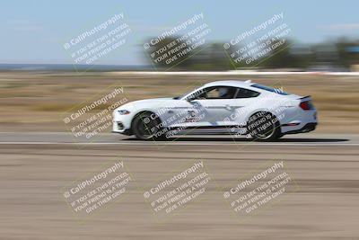 media/Oct-04-2025-OnGrid (Sat) [[44bd565ffa]]/Purple Group/Grapevine/